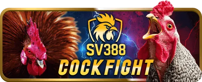 Hoàn Cược Thể Thao 7789bet